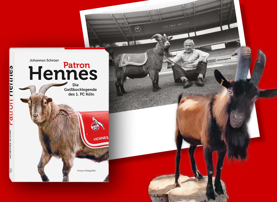 /img/Startseite/Keyvisuals/keyvisual_greven_verlag_hennes-fc-jubilaeum_891x650.jpg